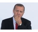 Pour Erdogan, le système présidentiel de l'Allemagne nazie est un modèle