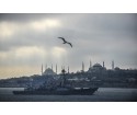 Les USA veulent patrouiller en mer Noire en violation des normes internationales